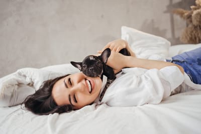 🐶 French Bulldog Puppies in San Antonio, Texas: A Local Guide for Dog Lovers