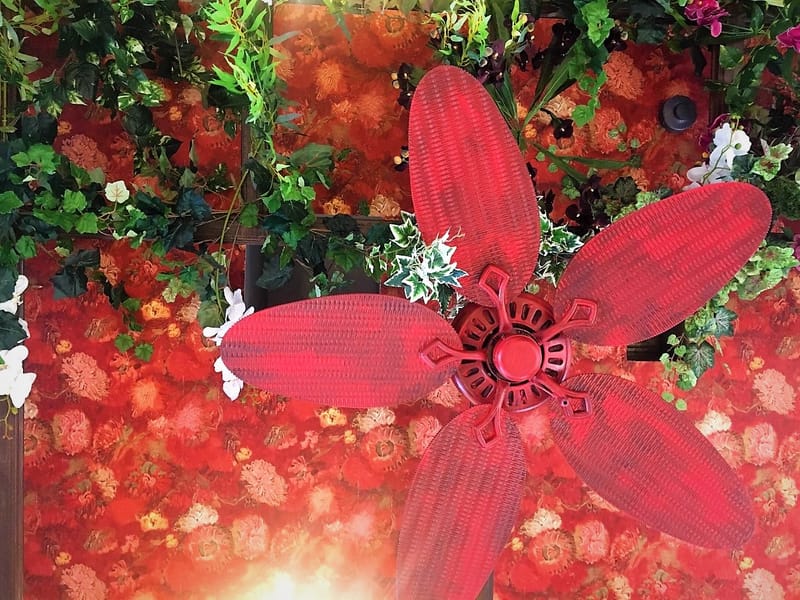 Barong Cafe -Bar - Restaurant ,Marina Zeas ,Piraeus