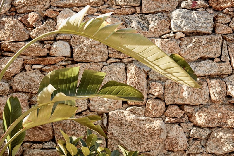 Scorpios Beach Bar Restaurant, Mykonos