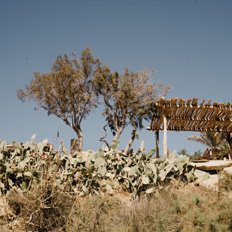 Scorpios Beach Bar Restaurant, Mykonos