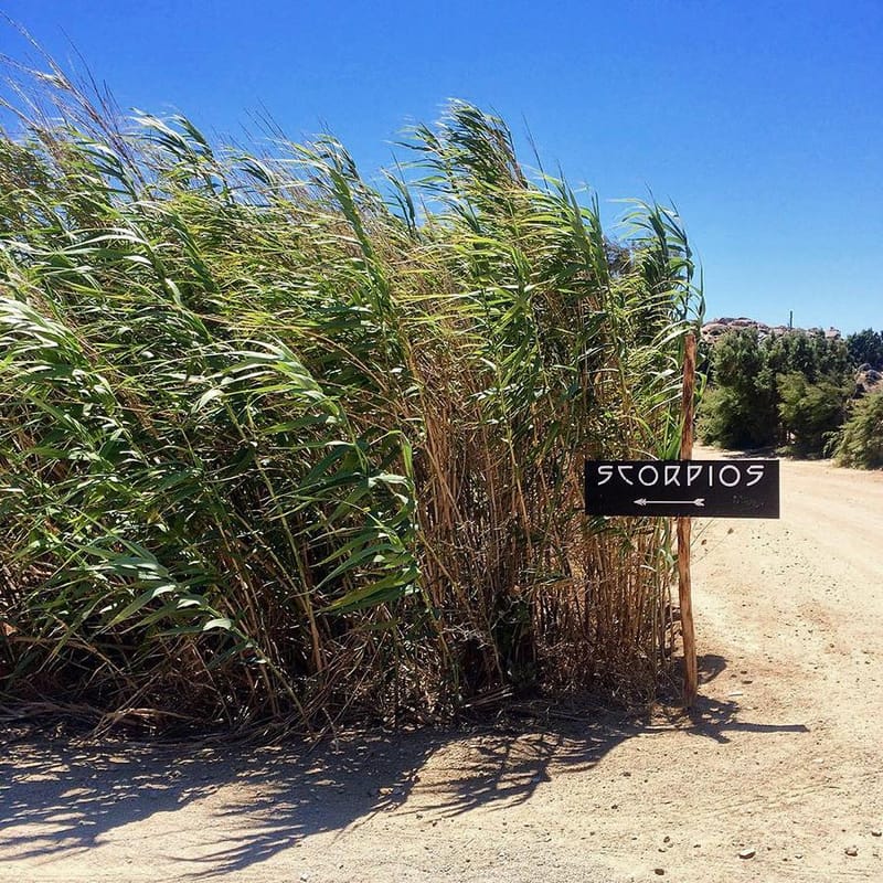 Scorpios Beach Bar Restaurant, Mykonos