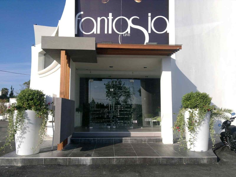 Fantasia Live States Nikos Vertis,Athens