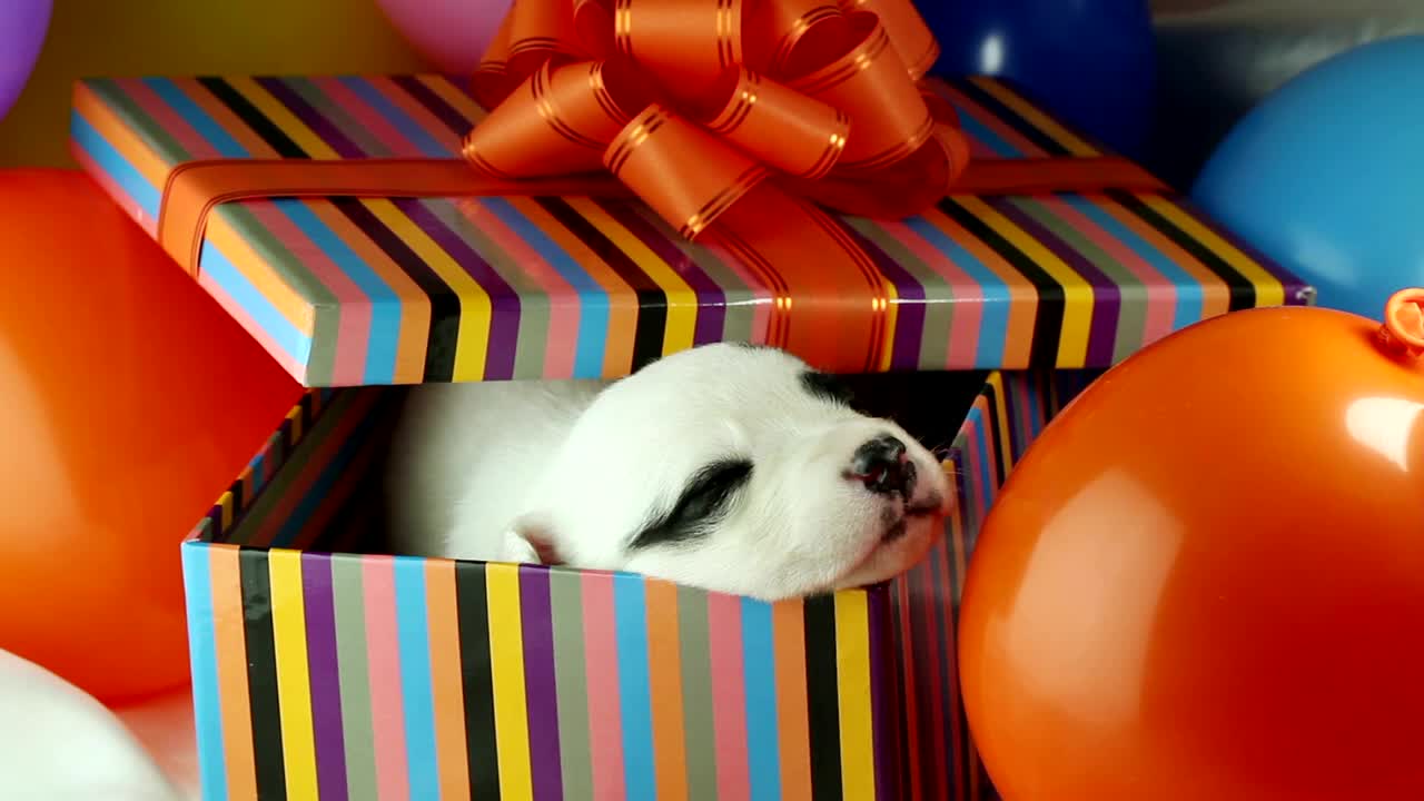 ΓΕΝΕΘΛΙΑ ΓΙΑ ΚΑΤΟΙΚΙΔΙΟ