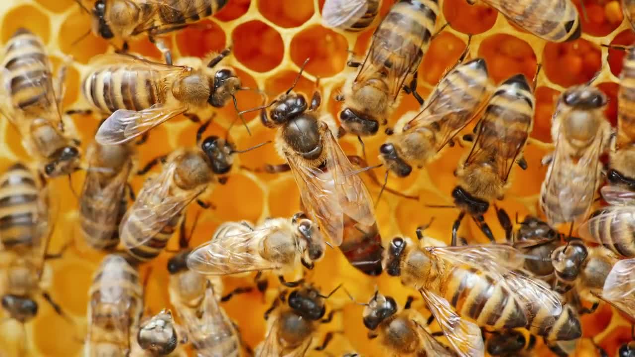 ΕΠΑΓΓΕΛΜΑΤΙΚΗ ΕΠΙΤΥΧΙΑ