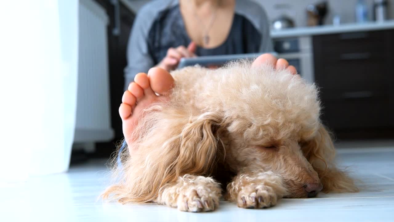 ΑΠΩΛΕΙΑ ΚΑΤΟΙΚΙΔΙΟΥ