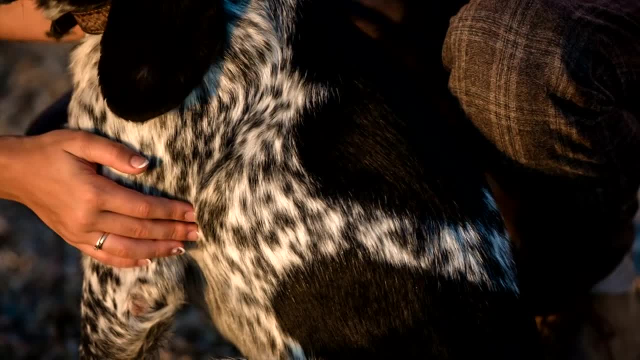 ΑΠΩΛΕΙΑ ΚΑΤΟΙΚΙΔΙΟΥ