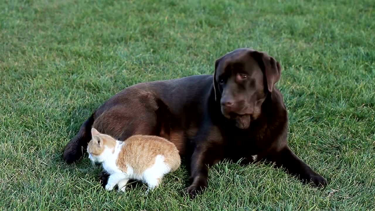 ΑΠΩΛΕΙΑ ΚΑΤΟΙΚΙΔΙΟΥ