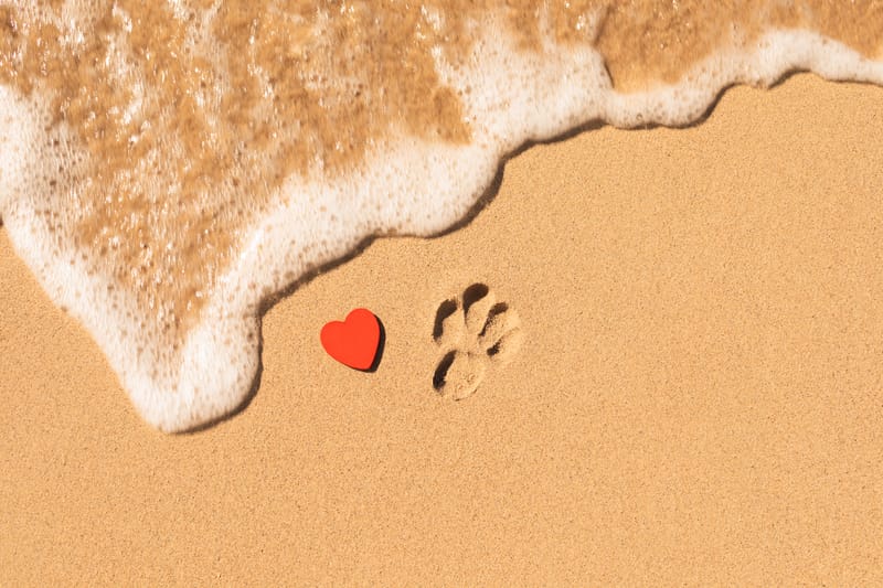 ΑΠΩΛΕΙΑ ΚΑΤΟΙΚΙΔΙΟΥ