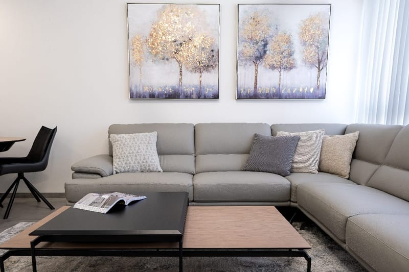 עיצובי חלל המגורים ומרפסות