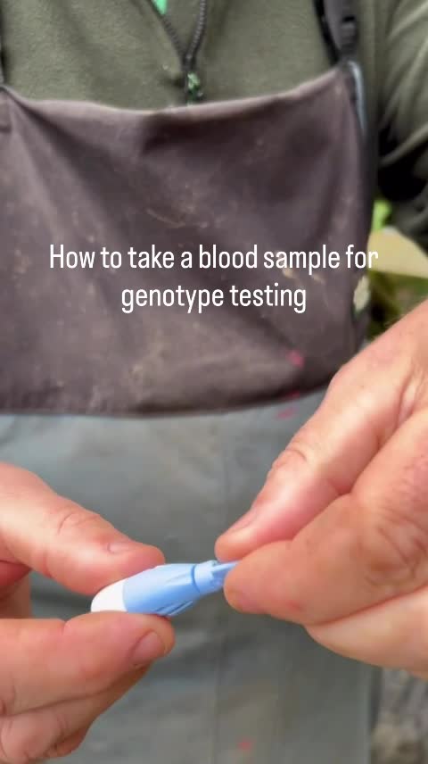 Genotype Testing thumbnail