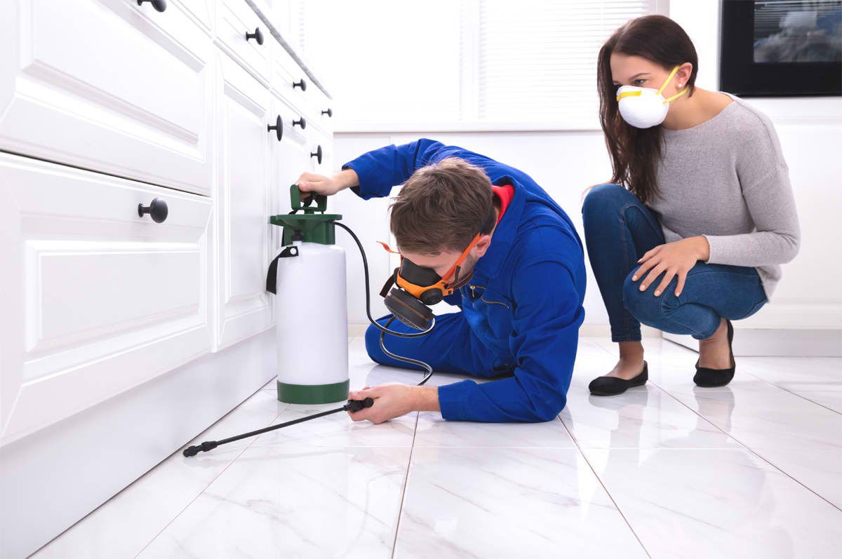 Family-Safe Pest Control San Antonio – Non-Toxic, Pet-Friendly Solutions