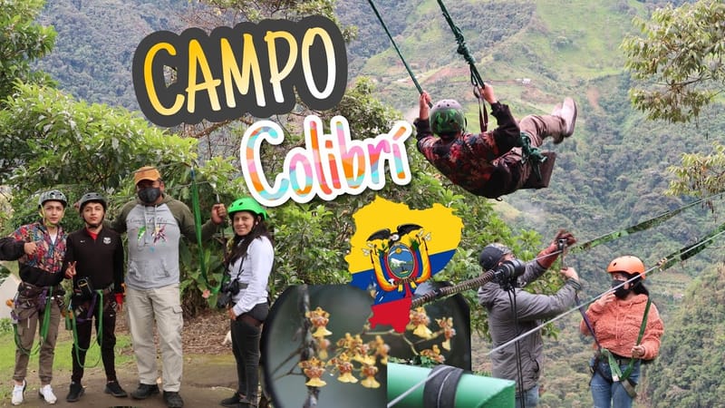 Campo Colibrí