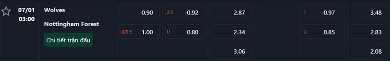 Trận Wolves đấu Nottingham: Phân tích & nhận định, 03h00 ngày 07/01/2025