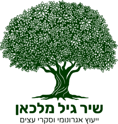 שיר גיל מלכאן - אגרונומית עירונית