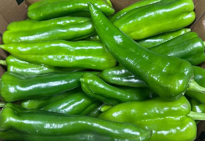 Logistique &amp; Douane