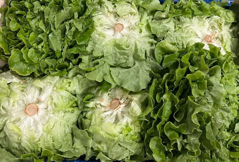 Qualité &amp; Engagement