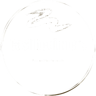Cashbeginners