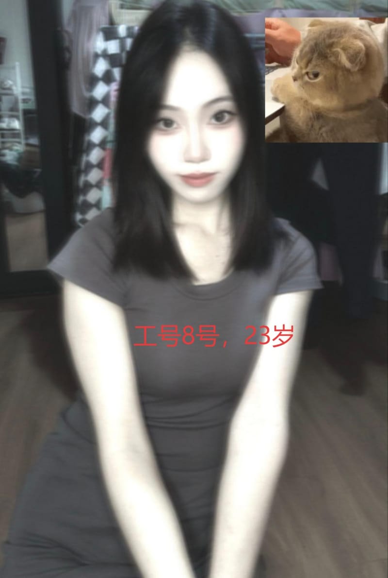 综合店，价格498