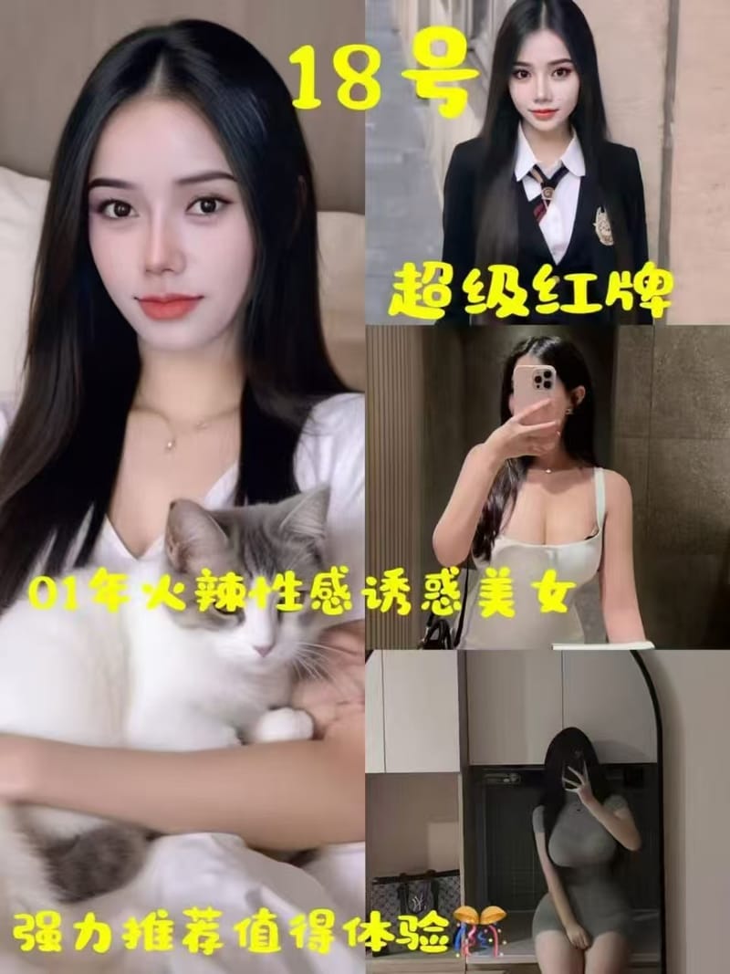 4组，综合，价格498