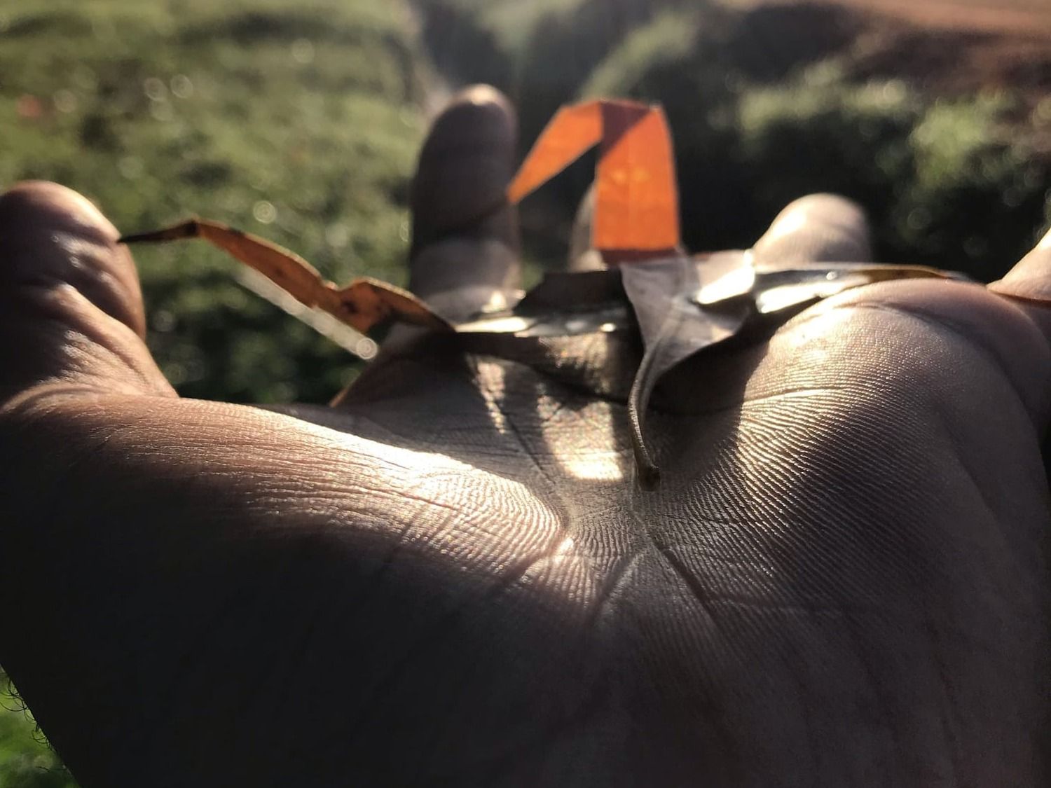 The Power of Strong Staff-Client Relationships in Maternal and Child Healthcare