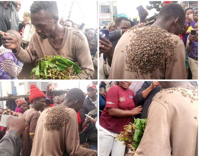 Get Back Lost Items/Persons