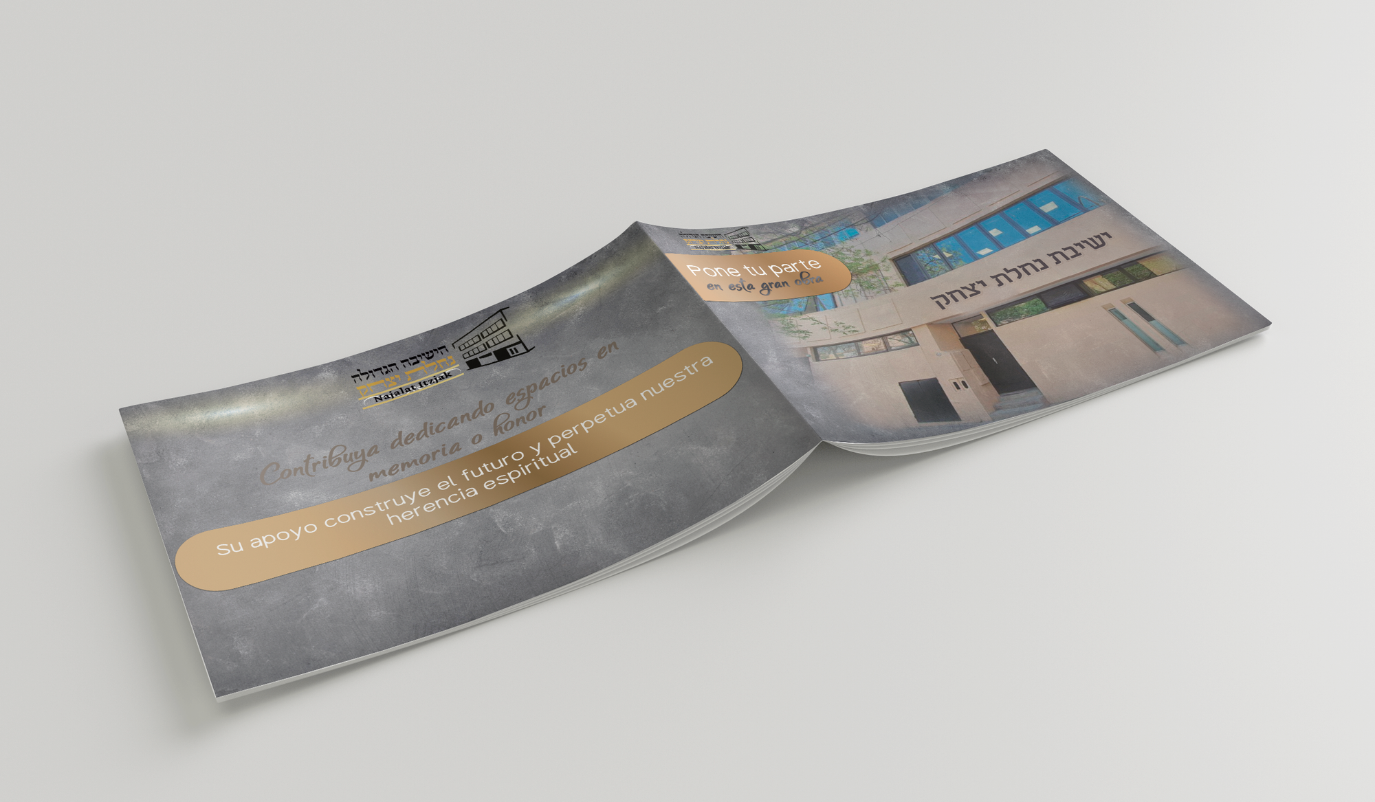 Diseño de un folleto con el fin de recaudar donaciones