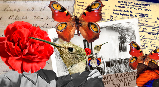 ESTÁGIO CURRICULAR SUPERVISIONADO OBRIGATÓRIO