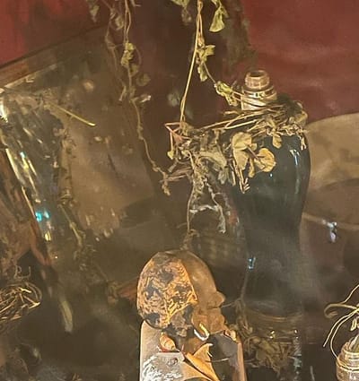 WITCH DOCTOR IN KWALE