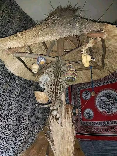 WITCH DOCTOR IN EMUHAYA,HAMISI,LUANDA,SABATIA VIHIGA COUNTY