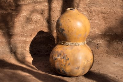 MGANGA WA KIENYEJI KAKAMEGA