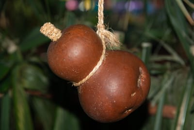WITCH DOCTOR IN NAROK