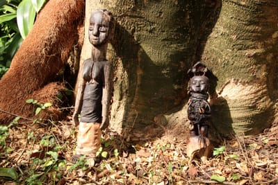 TRADITIONAL SPIRITUAL HEALER | WITCH DOCTOR | SPELL CASTER IN TOGO