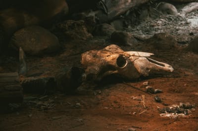 WITCH DOCTOR IN KISUMU TOWN