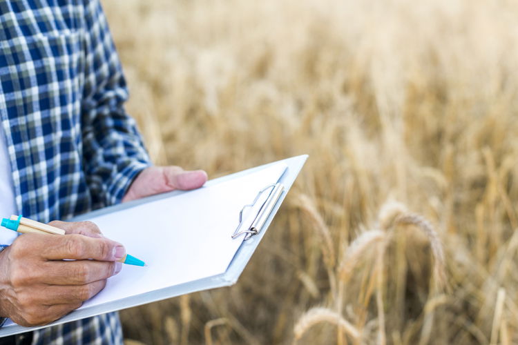 Agriculture insurance
