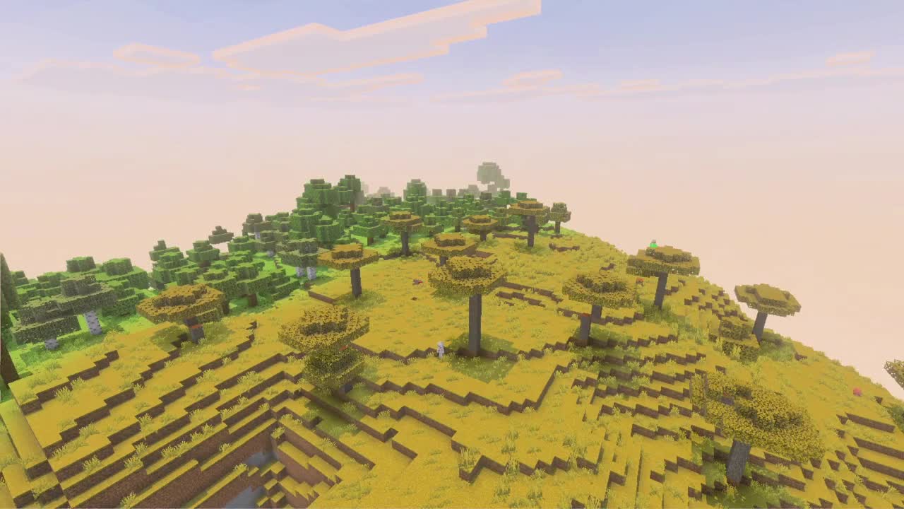 Vidéo unique thumbnail