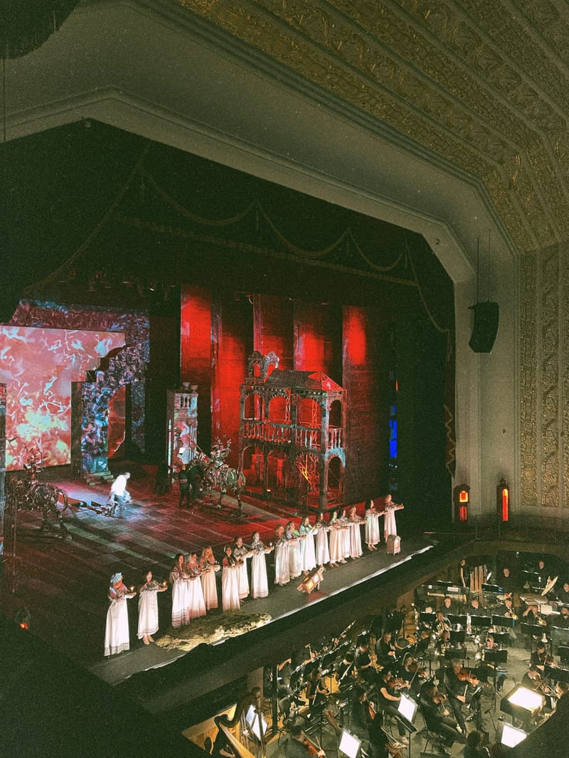 Performance at the Hungarian State Opera