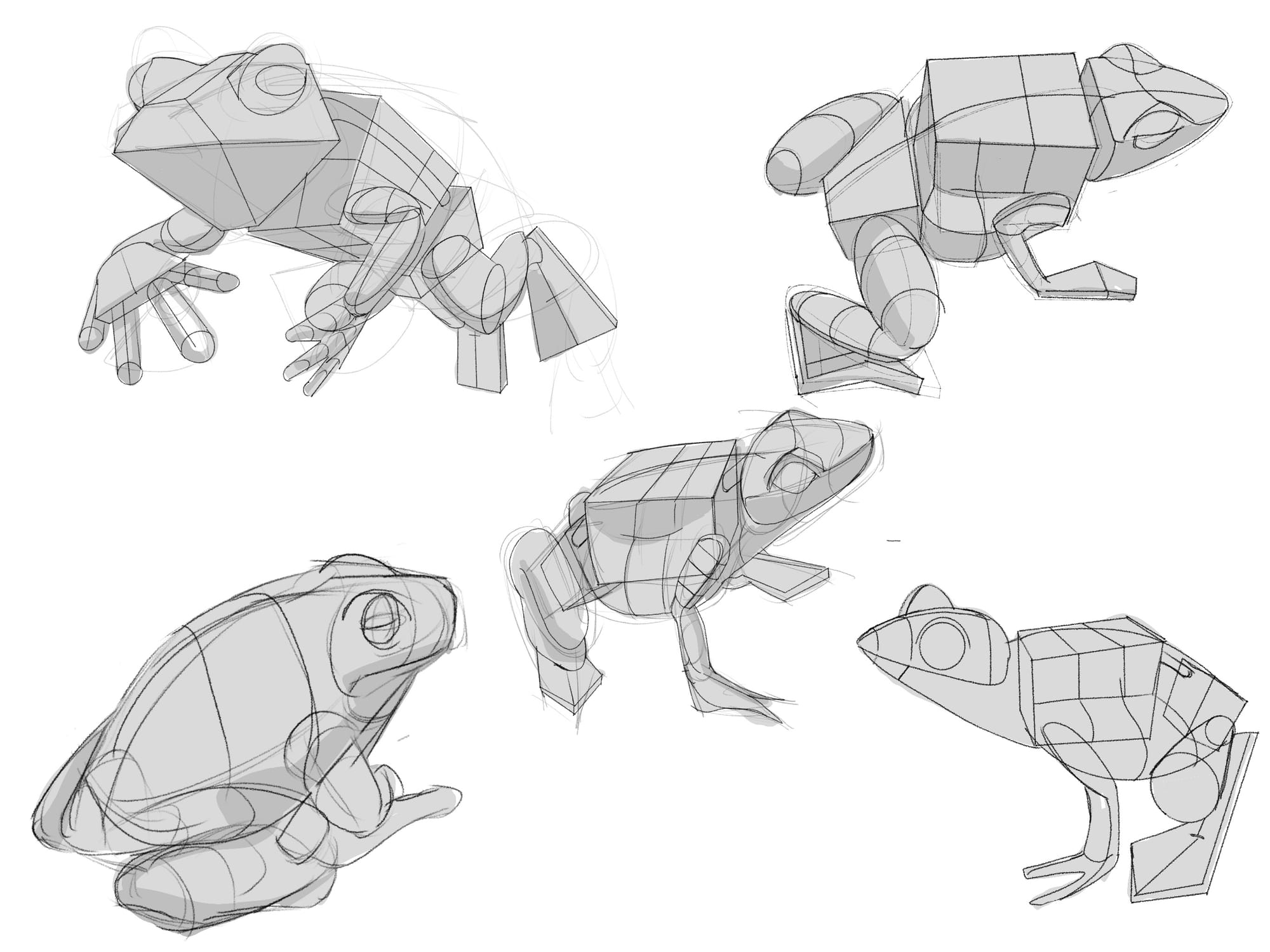 Amphibian