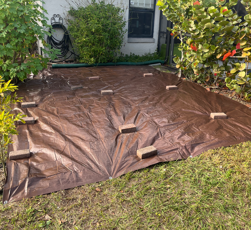 Lawn to Farm Conversion