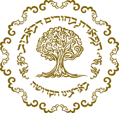 תפארת בחורים ד'באבוב 45 בארה"ק