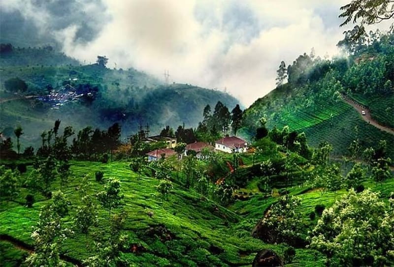 1 Nights 2 Days Coorg Tour Package