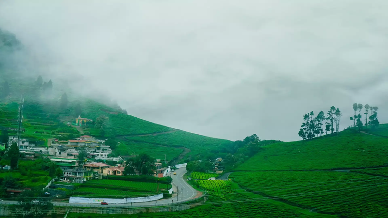 1 Night 2 Days Ooty Tour Package