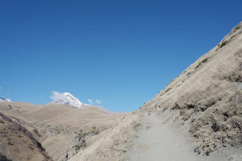 Adventure Trekking Tours