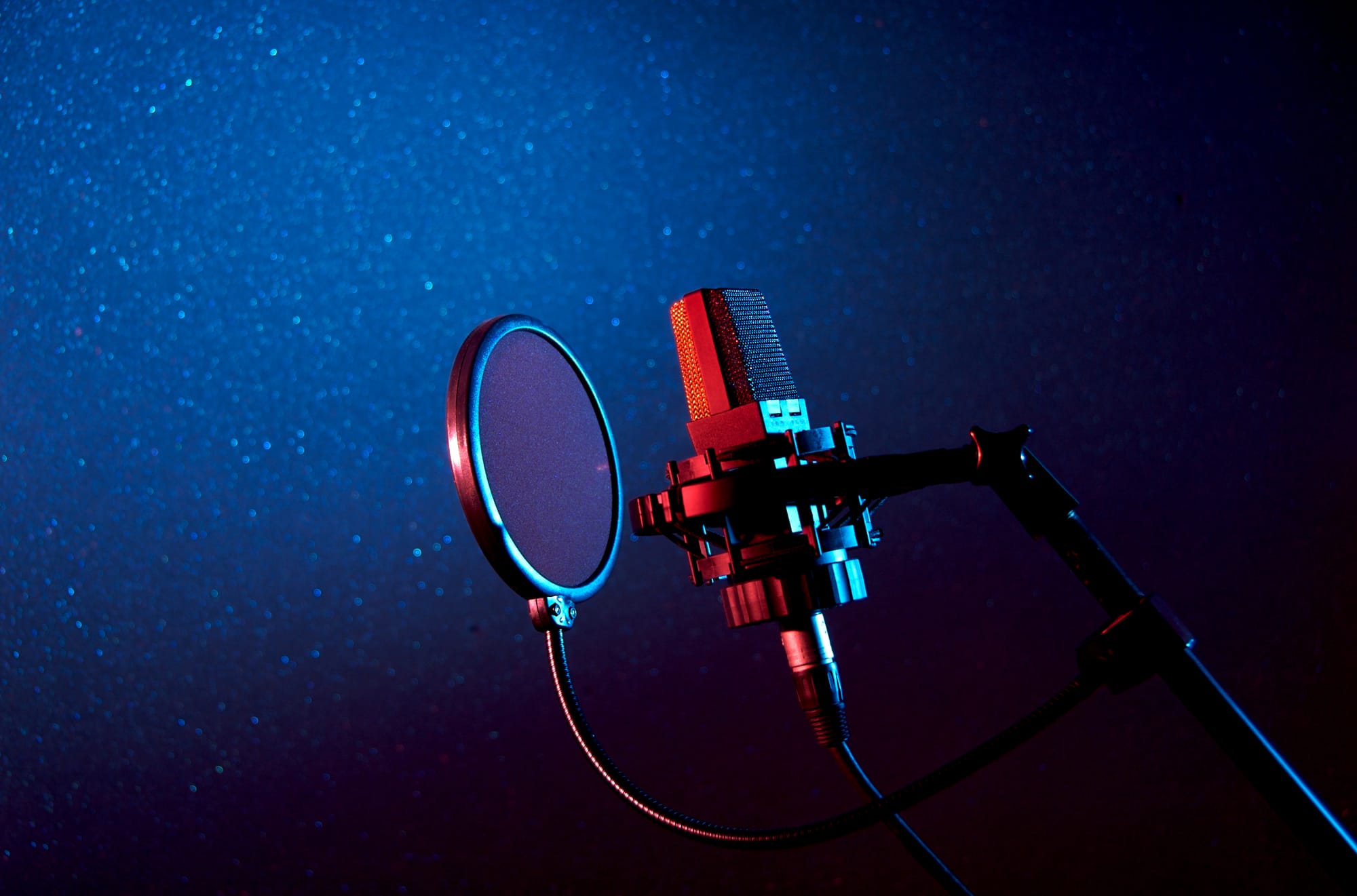 Hire a Professional Voice Over Artist for Your Project