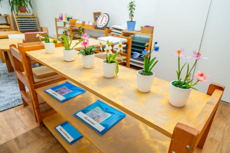 Educational Workshops