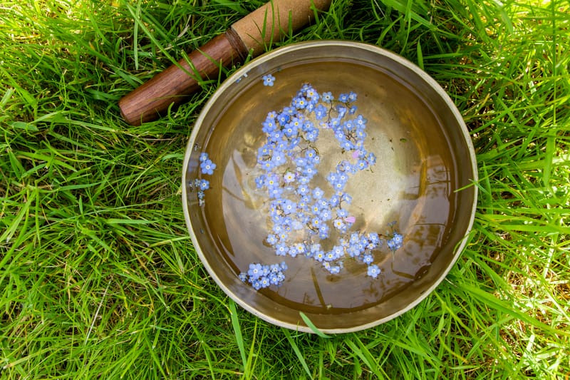 Spring Stars and Sound Journey