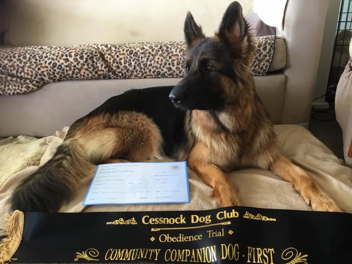 CCD First place Cessnock