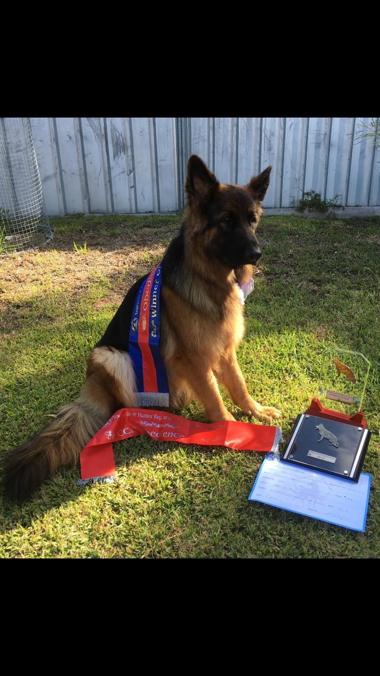 Newcastle GSD Club Winner of Winners