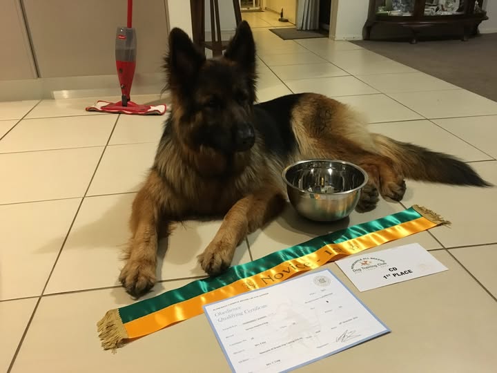 Novice 2nd place and title