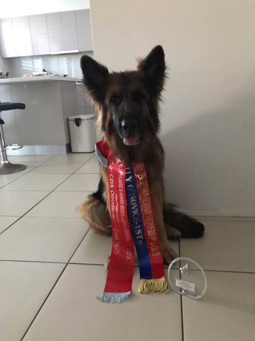 1st Rally Novice and 2nd Open