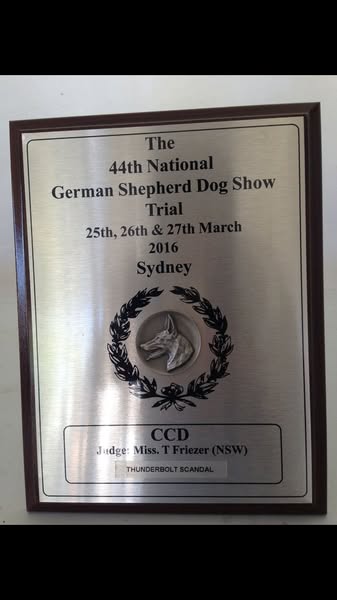 Winner CCD 2016 GSD National